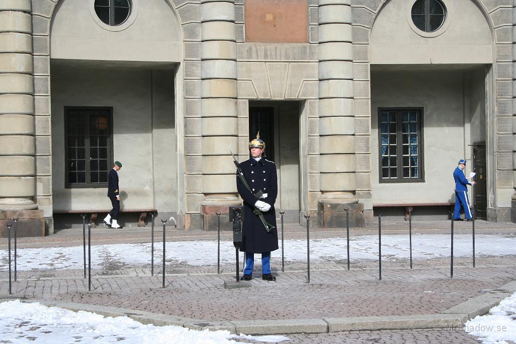 11-37 IMG_0001.JPG